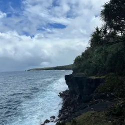 Savai'i Lava Fields - Falelima