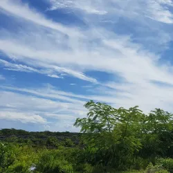 Savai'i Marine Reserve - Falelima