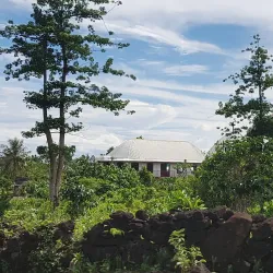 Savai'i Rainforest - Falelima