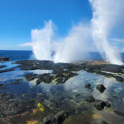 Taga Blowholes - Falelima