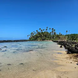 Taga Blowholes - Falelima