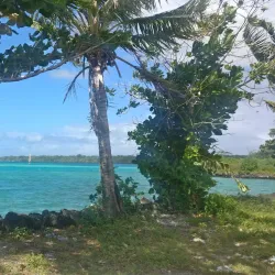 Taga Blowholes - Falelima