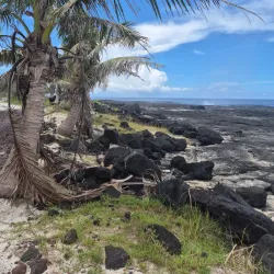 Taga Blowholes - Falelima