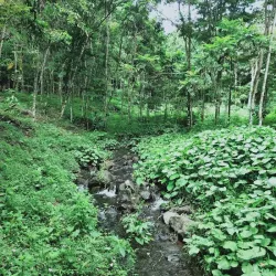 Fusi Botanical Garden - Fusi