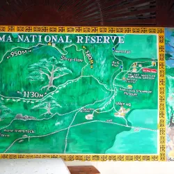 Fusi Botanical Garden - Fusi