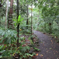 Fusi Botanical Garden - Fusi