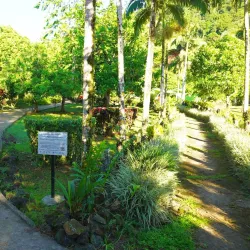 Fusi Botanical Garden - Fusi