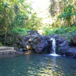 Fusi Botanical Garden - Fusi