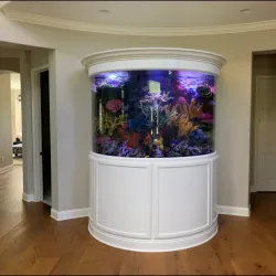 Nearby Coral Reefs - Fusi