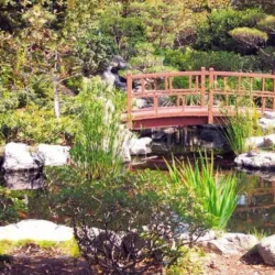 Nearby Coral Reefs - Fusi