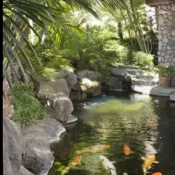 Nearby Coral Reefs - Fusi