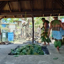 Traditional Samoan Fale Houses - Fusi