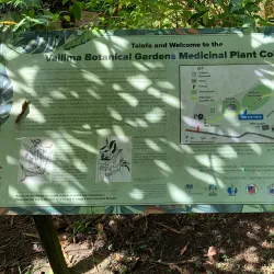 Matavai Botanical Gardens - Matavai