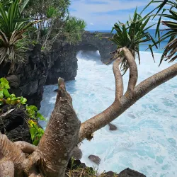 Matavai Coastal Walk - Matavai