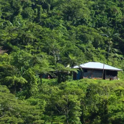 Papapapai Island - Matavai