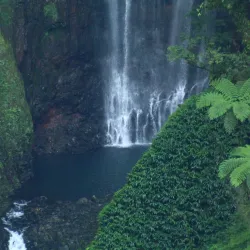 Papapapai Island - Matavai