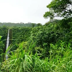 Papapapai Island - Matavai