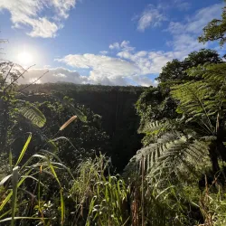 Papapapai Island - Matavai