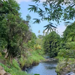 Afu Aau Waterfall - Tafitoala