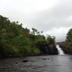 Falefa Rainforest Walk - Tafitoala