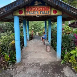 Falefa Rainforest Walk - Tafitoala