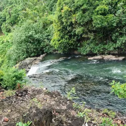 Falefa Rainforest Walk - Tafitoala