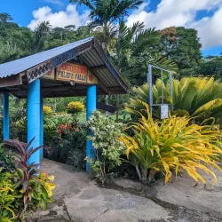 Falefa Rainforest Walk - Tafitoala