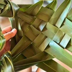 Samoa Cultural Village - Tafitoala