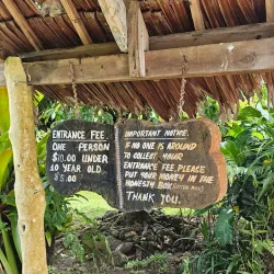 Sopoaga Waterfall - Tafitoala