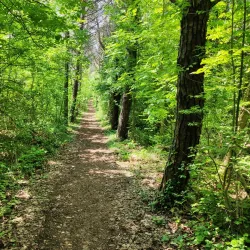 Acquaviva Countryside Trails - Acquaviva