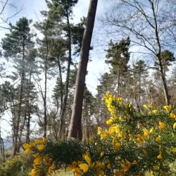 Acquaviva Countryside Trails - Acquaviva