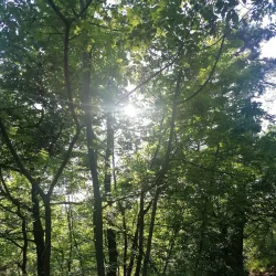 Acquaviva Countryside Trails - Acquaviva