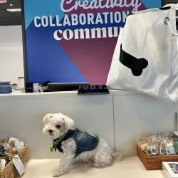 Local Artisan Shops - Acquaviva