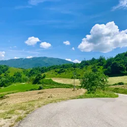 San Marino Wine Tasting Experiences - Acquaviva