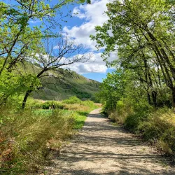 San Marino Wine Tasting Experiences - Acquaviva