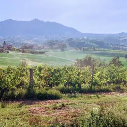 Historic Walking Tours - Domagnano