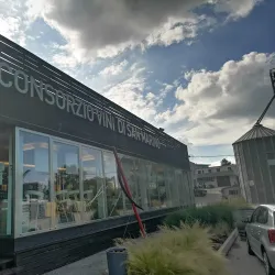 San Marino Wine Tours - Domagnano