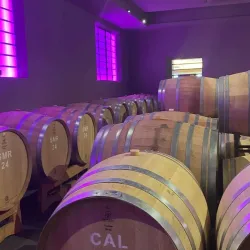 San Marino Wine Tours - Domagnano