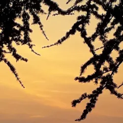 Centro Storico di Serravalle (Historic Center) - Serravalle