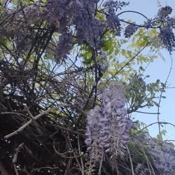 Parco delle Rimembranze - Serravalle