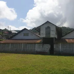 Local Coffee Plantations - Guadalupe