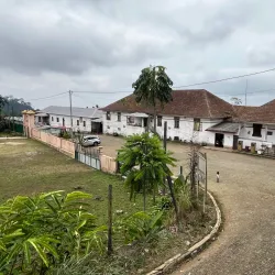 Local Coffee Plantations - Guadalupe
