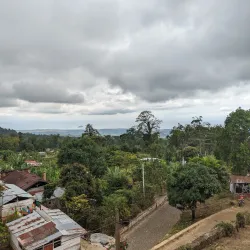Local Coffee Plantations - Guadalupe