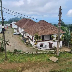 Local Coffee Plantations - Guadalupe