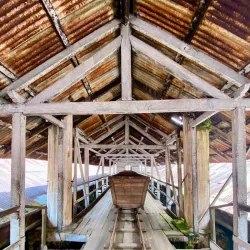 Local Coffee Plantations - Guadalupe