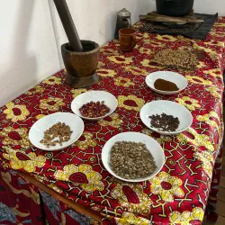 Local Coffee Plantations - Guadalupe