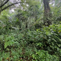 Obô Natural Park - Guadalupe