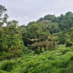 Obô Natural Park - Guadalupe
