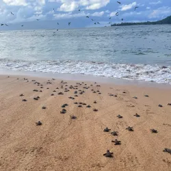 Praia Piscina Beach - Guadalupe