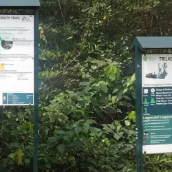 Praia Piscina Beach - Guadalupe